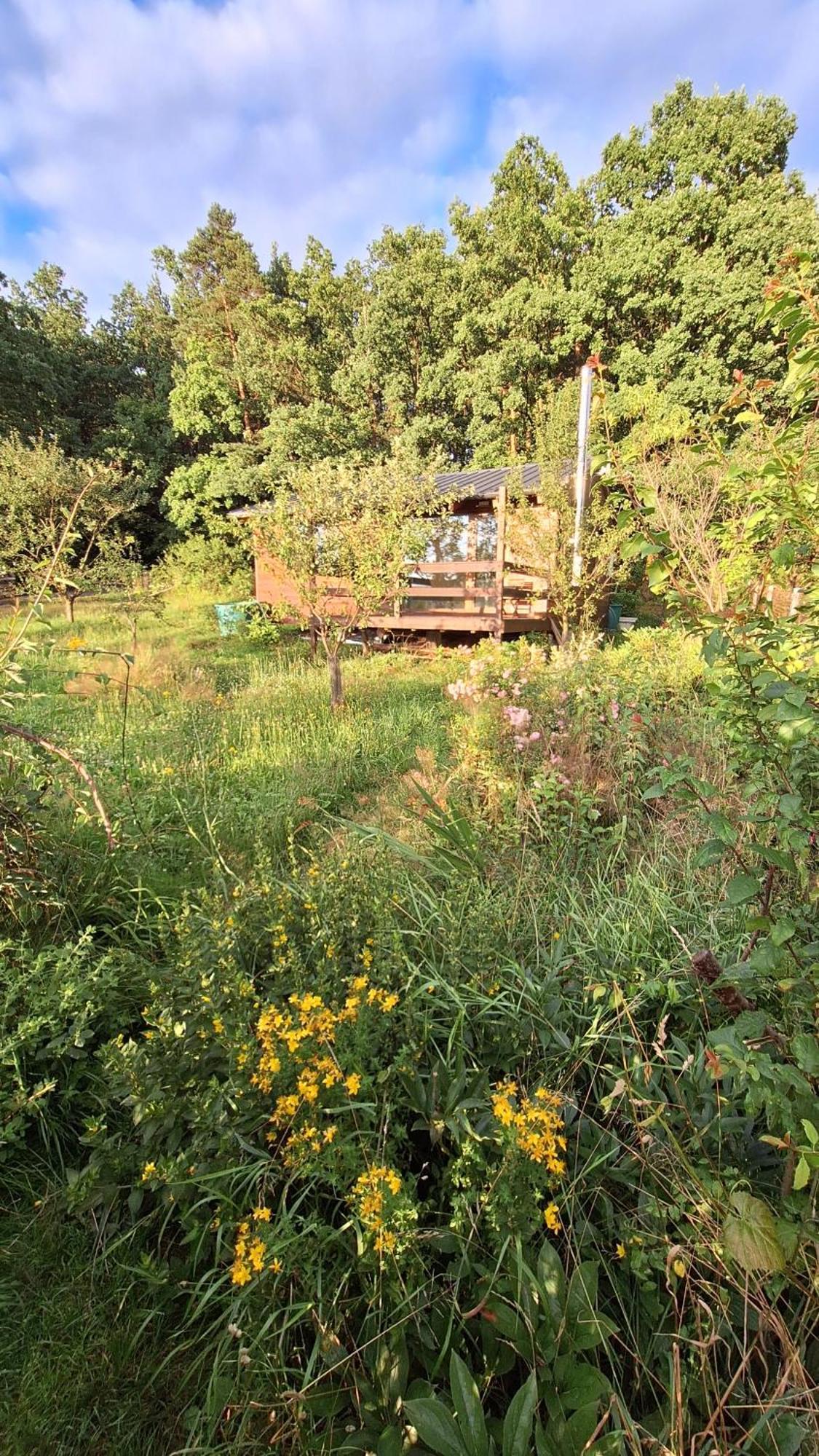 Domek Pod Jabloni Ticha Bagian luar foto